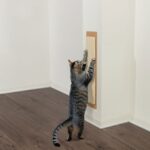 Sisal Krabplank Beige – Trixie 43181-TRXI - Afbeelding 3