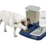 Voer- en Waterdispenser met Regelbare Voerporties – Karlie DUO MAX