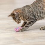 Kattenspeeltje Zeepaardje van Pluche met Catnip – Trixie 45684-TRXI - Afbeelding 6