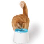 Drinkfontein met Meertrapsfiltering 2 Liter Wit-Blauw – CATIT Fresh+Clear
