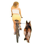 Fietshouder met Afneembare Hondenriem – Karlie Walky Dog