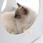 Kattenhuis met Drie Verdiepingen en Kussens Wit – Vesper Condo - Afbeelding 4