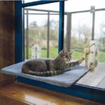 Kattenraamligplaats met Afneembare Pluche Hoes – Nobby Tapado - Afbeelding 2