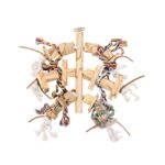 Hangspeelgoed van Onbehandeld Hout met Leer en Katoenen Touw voor Vogels – DUVO 4745060-EBI