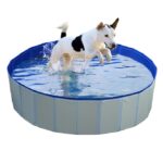 Hondenpool Blauw met Afvoerventiel Ø80 x 30 cm – DUVO 11760-EBI
