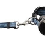 Honden Sportgordel met Schokdempende Riem – DUVO 11804-EBI - Afbeelding 2