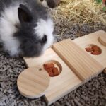 Houten Snackpuzzel voor Konijnen en Knaagdieren – DUVO Sniffle n Snack Puzzle Dan - Afbeelding 3