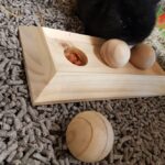 Houten Snackpuzzel voor Konijnen en Knaagdieren – DUVO Fay - Afbeelding 3