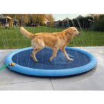 Honden Waterspeelmat voor Verkoeling en Spelen – DUVO Splash