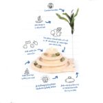 Katten Speeltoren met Kattenkruidballen en Zuignappen – DUVO Spin & Play - Afbeelding 2
