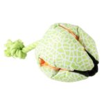 Meloen Snackbal voor Honden van Oxford-stof en Pluche – DUVO 15484-EBI