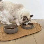 Keramische Kattenvoer- en Drinkbak Grijs-Groen 260 ml – DUVO Stone Wavy Dune - Afbeelding 6