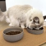 Keramische Voer- – DUVO Dinner Time Stone Smooth Dune - Afbeelding 6