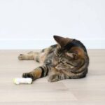 Elektronisch Kattenspeelgoed Bewegende Rups – EBI Buzzing Caterpillar - Afbeelding 2