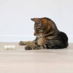 Elektronisch Kattenspeelgoed Bewegende Rups – EBI Buzzing Caterpillar - Afbeelding 3