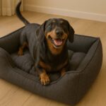 Hondenmand Donkergrijs met Afneembare Hoes 60 x 45 x 16 cm – DUVO Duratex - Afbeelding 5
