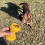 Rubberen Snackspeeltje voor Honden Geel – DUVO Griplay Zandloper - Afbeelding 4