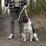 Hondenriem 2-in-1 van Nylon in Antique White – DUVO EXPLOR Ultimate Fit - Afbeelding 4