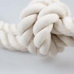 Katoenen Hondenspeeltouw met 2 Knopen en Lus wit – DUVO 16370-EBI - Afbeelding 4