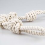 Wit Katoenen Hondenspeeltouw met twee Lussen – DUVO 16380-EBI - Afbeelding 3