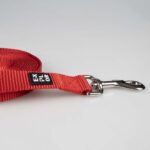Platte Honden Sleeplijn Rood 5 m – DUVO EXPLOR Classic - Afbeelding 4