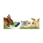 Interactief Leerspeelgoed voor Kleine Huisdieren – Hagen LivingWorld Teach'N Treat - Afbeelding 3