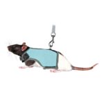 Ratten Softtuig met Elastische Lijn – Trixie 61511-TRXI