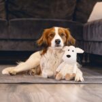 Hondenknuffel van Gerecycled Materiaal zonder Pieper – Beeztees Onne - Afbeelding 6