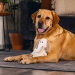 Knuffeldoek van Gerecycled Materiaal voor Puppy’s – Beeztees Nory - Afbeelding 6