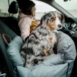 Hondenautostoel en Reisbed van Microvezel Lichtgrijs – Nobby Bena - Afbeelding 3