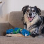 Hondenspeeltje van Pluche met Piepers en Knisperfolie voor Apporteren – Beeztees Nuno - Afbeelding 3