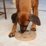 Houten Intelligentiespel voor Honden, Tweezijdig – Beeztees Brain Game Giono - Afbeelding 4
