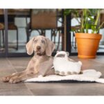 Puppy Knuffelspeeltje Lama voor Hartslagsimulator – Beeztees 619925 - Afbeelding 2