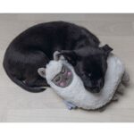 Puppy Knuffelspeeltje Lama voor Hartslagsimulator – Beeztees 619925 - Afbeelding 3
