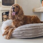 Rond Hondenkussen van Geribbelde Stof Beige – Karlie Designed by Lotte Reza - Afbeelding 8