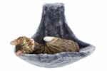 Opvouwbare Kattenligplek met Afneembare Hoes Grijs – Nobby PARADIES - Afbeelding 2