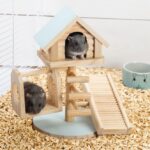 Knaagdier Speelhuis 4-in-1 met Schommel – Beeztees Lovy - Afbeelding 2