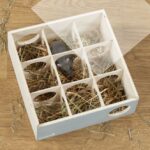 Knaagdierlabyrint van Hout – Beeztees Cleo - Afbeelding 3