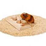 Knaagdier Intelligentiespel met Voerbord en 3 Houten Ballen – Karlie Rody Brain Train Board - Afbeelding 2