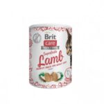 Brit Care Cat Snack Superfruits Lam 100 g