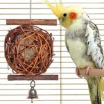 Houten Knabbelbal voor Vogels met Natuurlijk Nestmateriaal – Karlie 88087