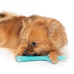 Honden Kauwspeeltje met Kippengeur, Turquoise – Zeus Duo Stick Klein - Afbeelding 4