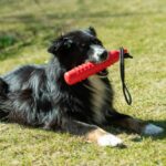 Rode TPR Trainingsdummy met Handlus voor Honden – PROCYON SYD1669 - Afbeelding 3