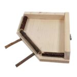 Zitplank voor Vogels 19 x 19 cm – Ollesch OL-519100