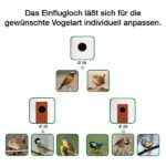Nistkast voor Wilde Vogels met Verstelbare Invliegopening – FOP Nido N02 - Afbeelding 3