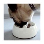 Anti-Schrok Hondenbak Zwart 600 ml – DOGIT Go-Slow - Afbeelding 3