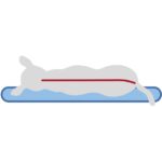 Orthopedisch – Trixie Vital Bendson - Afbeelding 5