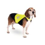 Reflecterend Hondenveiligheidsvest voor Wandelingen in het Donker – Karlie Night Walk M - Afbeelding 2
