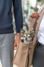 Honden- en Kattendraagtas van Kunstleer met Buitenvak – Trixie CityStyle - Afbeelding 6