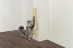 Katten Krabplank van Sisal met Pluchen Rand en Speelstaart – Trixie 43112-TRXI - Afbeelding 3